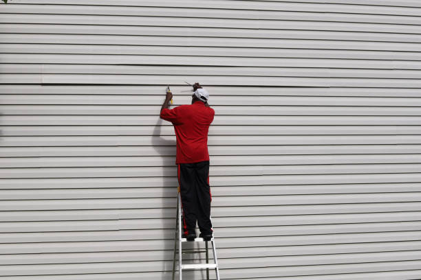 Best Siding Painting and Refinishing  in Townsend, DE